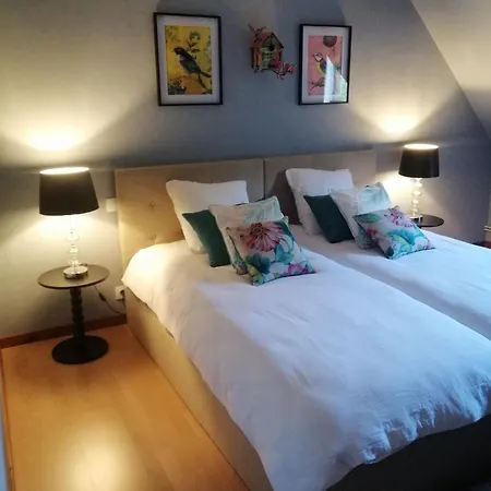 Maison Cosy 1-12 Pers, Maison Cosy 180m2 Et Maison Cosy2 54m2, Proche Europa Park, Marche De Noel Ohnenheim