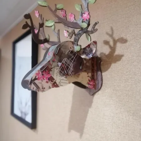 Cosy 1-12 Pers, Maison Cosy 180m2 Et Maison Cosy2 54m2 *