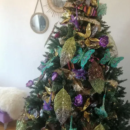 Apartamento Cosy 1-12 Pers, Maison Cosy 180m2 Et Maison Cosy2 54m2 Ohnenheim