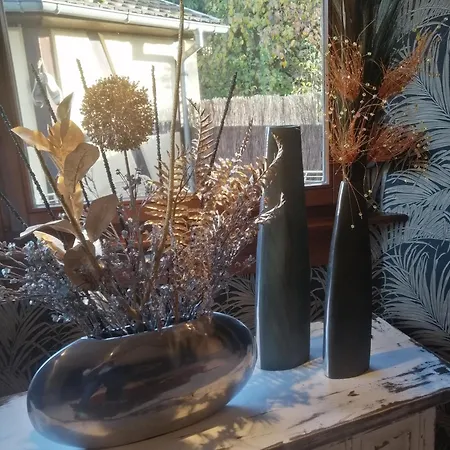 Cosy 1-12 Pers, Maison Cosy 180m2 Et Maison Cosy2 54m2 Apartamento Ohnenheim