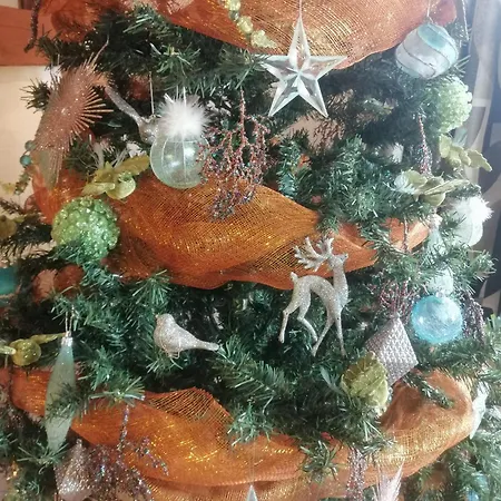 Cosy 1-12 Pers, Maison Cosy 180m2 Et Maison Cosy2 54m2 Apartamento Ohnenheim