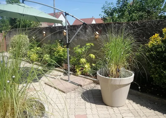 Cosy 1-12 Pers, Maison Cosy 180m2 Et Maison Cosy2 54m2