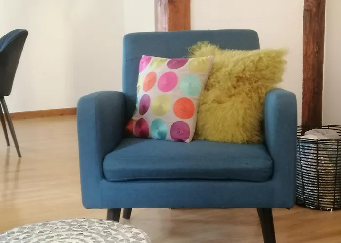 Appartement Cosy 1-12 Pers, Maison Cosy 180m2 Et Maison Cosy2 54m2 Ohnenheim